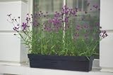 Zinc Trough - 17x17x60cm