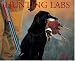 Book Hunting Labs 2006 16-Month Wall Calendar