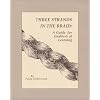 Three Strands in the Braid: A Guide for Enablers of Learning (Three Learning Stories)