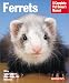 Ferrets (Complete Pet Owner's Manual)