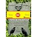 Nachtmeerfahrt III - Edgar Allan Poe