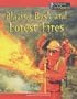 Blazing Bush & Forest Fire (Awesome Forces of Nature)