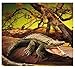 Folkmanis 2130 - Alligator