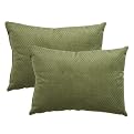 Home Plush Toss Pillow 2-pack Green