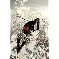 Daredevil by Brian Michael Bendis & Alex Maleev Ultimate Collection - Book 3