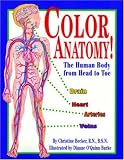 Color Anatomy!