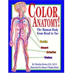 Color Anatomy!