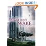 Newton's Wake : A Space Opera
