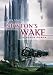 Book Newton's Wake: A Space Opera