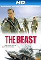 play video on Amazon Instant Video