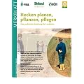 Hecken planen, pflanzen, pflegen
