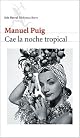 Tropical Night Falling (Norton Paperback Fiction)