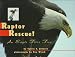 Raptor Rescue!: An Eagle Flies Free
