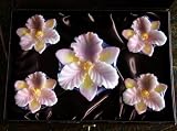 National Geographic Home Collection Orchid Floating Candle Set In Case