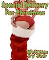 Special Delivery For Christmas (Erotica by Zob)