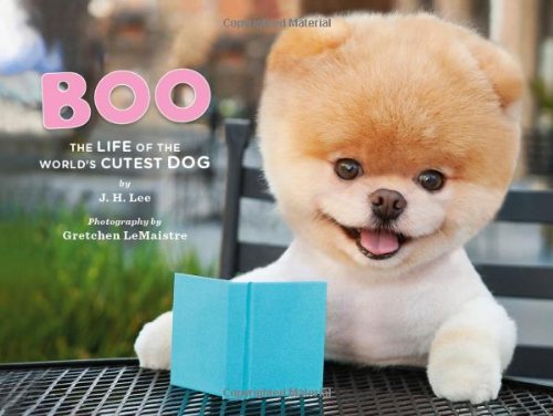 Boo: The Life of the World's Cutest Dog [Hardcover]