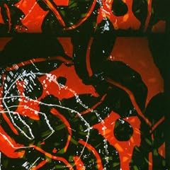 Nerve Net