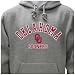 University of Oklahoma Campus Yard Printed Fleece Hoodie