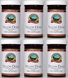 YELLOW DOCK Herbal Dietary Supplement, 100 Capsules, 460 mg each, KOSHER, "FAST SHIPPING" 6 PACK SAVING!