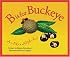 B Is For Buckeye: An Ohio Alphabet Edition 1. (Discover America State By State. Alphabet Series) (Discover America State By State. Alphabet Series)