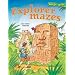 Maze Craze: Explorer Mazes (Maze Craze Book)