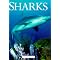 Shark Bites: Real and not so real.