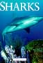 Sharks