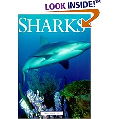 Sharks