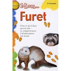 Mon furet