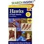 A Field Guide to Hawks of North America