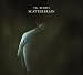 Scatterbrain