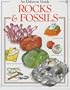 Rocks and Fossils (Hobby Guides (Usborne Paperback))