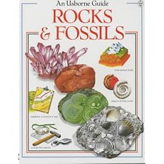 Rocks and Fossils (Hobby Guides (Usborne Paperback))