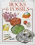 Rocks and Fossils (Hobby Guides (Usborne Paperback))