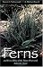 Book Ferns and Fern Allies of the Trans-Pecos and Adjacent Areas