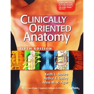 Click here to buy Clinically Oriented Anatomy, Sixth Edition: Softcover North American Edition by Keith L. Moore, Arthur F Dalley, and Anne MR Agur.