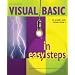 Beginner Programmer