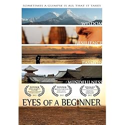 Eyes of a Beginner