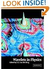 Wavelets in Physics