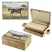 Stallion Stable Music Box
