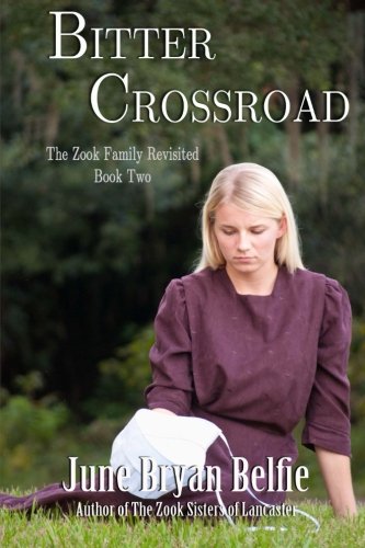 bitter crossroad the zook family revisited volume 2