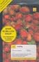 Teach Yourself Malay Complete Course (Book + 2CD) (TY: Complete Courses)
