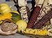 Squash, Corn, and Beans: the Three Sisters of Native American Agriculture Photographic Poster Print, 24x32