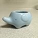 Cute Elephant Flower Pot - Mini Ceramic Planter for Succulents - Blue