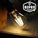 A19 LED Edison Style Bulb - 6W LED Vintage Filament Light Bulb 60W Equivalent - Soft White (2700K) - E26 Base - Non Dimmable - 1 Pack - by BIPEE