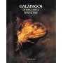 Galapagos: Ocean, Earth, Wind and Fire