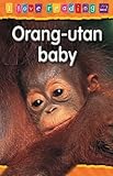 Orang-utan baby
