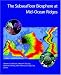 Book The Subseafloor Biosphere at Mid-Ocean Ridges (Geophysical Monograph)