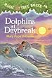 Dolphins at Daybreak