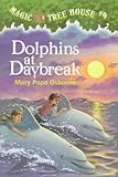 Dolphins at Daybreak